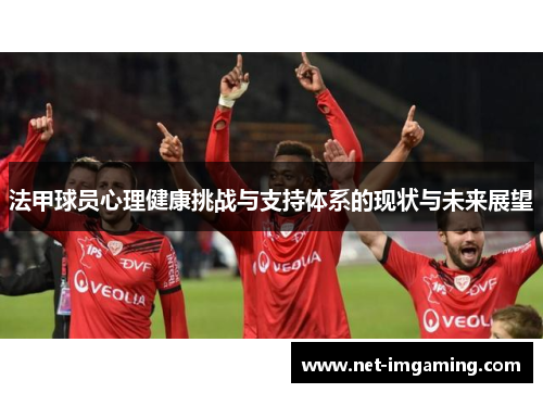 法甲球员心理健康挑战与支持体系的现状与未来展望