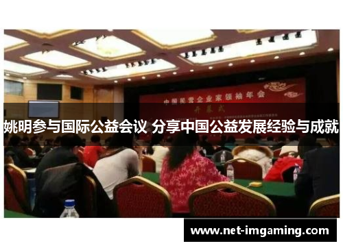 姚明参与国际公益会议 分享中国公益发展经验与成就