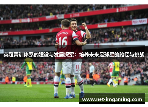 英超青训体系的建设与发展探索：培养未来足球星的路径与挑战