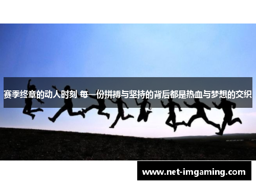 赛季终章的动人时刻 每一份拼搏与坚持的背后都是热血与梦想的交织