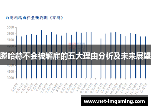 滕哈赫不会被解雇的五大理由分析及未来展望