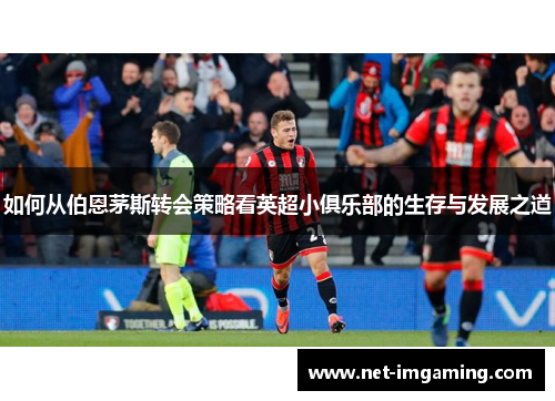 如何从伯恩茅斯转会策略看英超小俱乐部的生存与发展之道