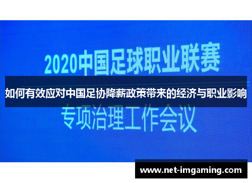 如何有效应对中国足协降薪政策带来的经济与职业影响