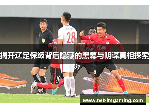 揭开辽足保级背后隐藏的黑幕与阴谋真相探索