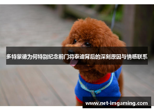 多特蒙德为何特别纪念前门将泰迪背后的深刻原因与情感联系