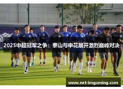 2025中超冠军之争：泰山与申花展开激烈巅峰对决