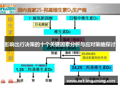 影响出行决策的十个关键因素分析与应对策略探讨