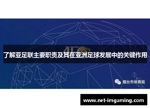 了解亚足联主要职责及其在亚洲足球发展中的关键作用