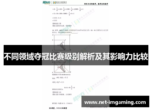 不同领域夺冠比赛级别解析及其影响力比较