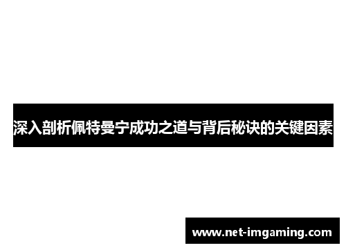 深入剖析佩特曼宁成功之道与背后秘诀的关键因素
