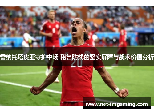 雷纳托塔皮亚守护中场 秘鲁防线的坚实屏障与战术价值分析